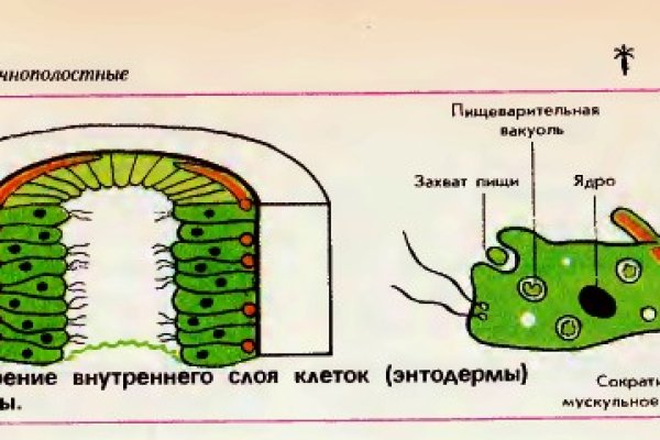 Kraken маркетплейс официальный