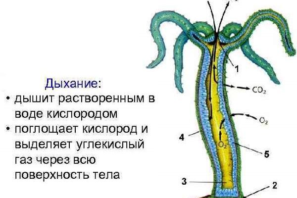 Кракен марихуана