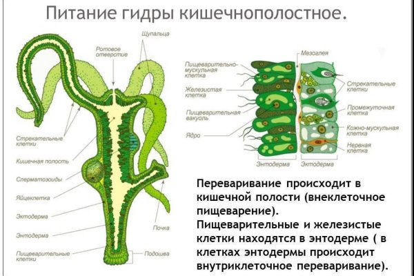 Кракен маркетплейс зеркало krk market com