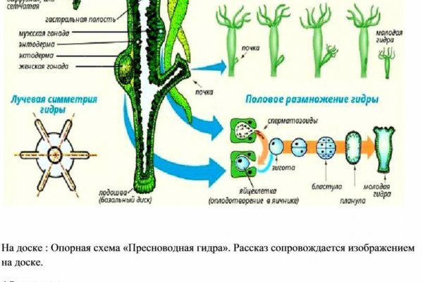 Проверенная ссылка кракен