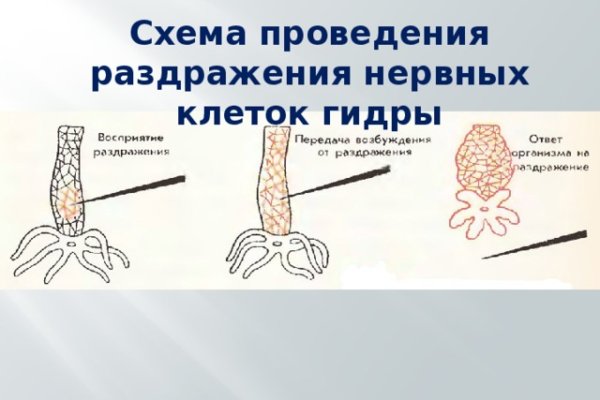 Kraken clear ссылка